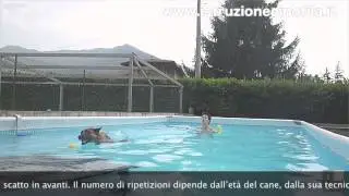 Lavoro tecnico in piscina