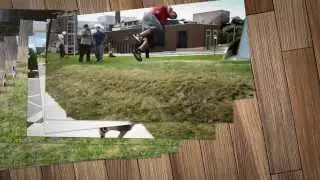 Stop Motion Movie (After Effects Project)