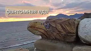 АВТОНОМИЯ  Без еды воды сна  мой опыт