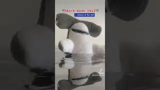 Shark Breach!  #sharkweek2023 #sharkweek #sharks #goldenretriever #funnydogvideos #funnydog