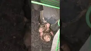 Номер 4. Номер для ютуба