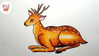 deer cartoon drawing easy // deer drawing// easy step by step// tutorial drawing।