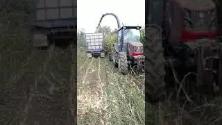 3 sıralı çelikel  silaj makinası ve erkunt haşmet 110 performansı