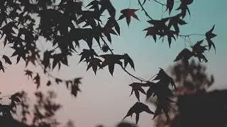 Солнечная цивилизация кто живёт на Солнце