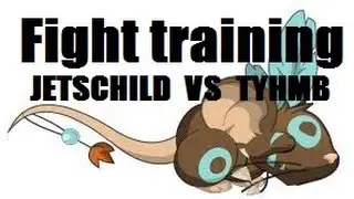 Transformice: Fight Training - Jetschild Vs Tyhmb - EASYPVP