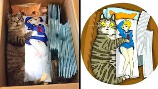 30 Of The Funniest Internet Famous Cat Pics Get Illustrated By Tactooncat