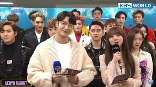 EXO Suho and Red Velvet Irene moment_SBS GD KBS GD 2018
