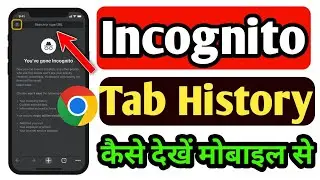 Chrome ki incognito history kaise dekhe | Hoe To See Chrome Incognito History