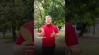 Вы знали, что раньше лист магнолии использовали как письмо?