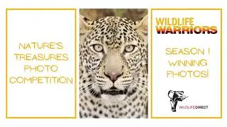 Nature's Treasures Photo Competition - season 1 Winners