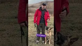 Про тонкі матерії ⭐️