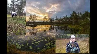 Осенняя рыбалка на щуку. Ловим окуня на болоте. Отдых на озере Селигер.