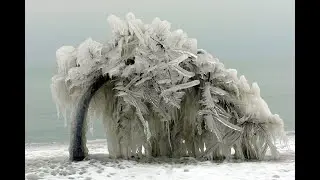 Ice storm aftermath