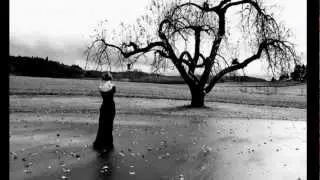 Robert Haigh - Clear Water