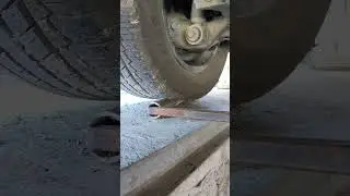How does a suspension die, and how can you tell what's dead?