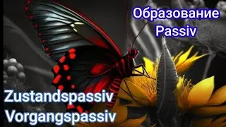 Образование Passiv в немецком. Разница между Zustandspassiv и Vorgangspassiv.