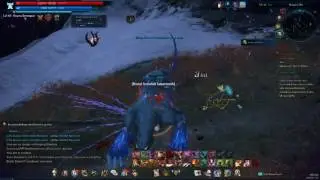 Tera Warrior All Skills