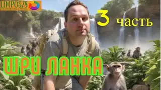 3 часть. Шри Ланка в 2024 году, в сентябре.  Устроили фотосессию. Едем на экскурсию.
