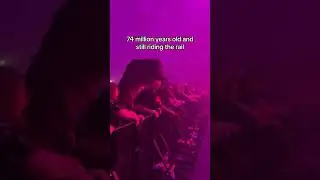 is this real? #edm #music #electronicmusic #rave #dj #dubstep #edmtiktok #edmmusic #shorts #remix