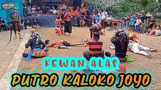 KANG SARWO GALAK~Jaranan Putro Kaloko Joyo kalibago kalipang kediri