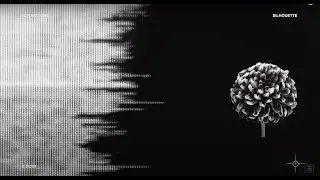 REFLECTIONS | NOIR (Official Visualizer)