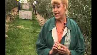 Come Outside - Apples
