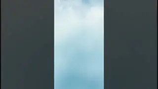 The legendary nine-tailed silver Fox can Bring you Good Luck
