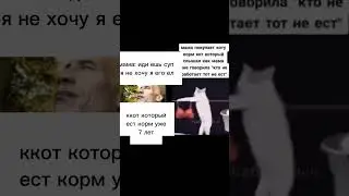 мой первый