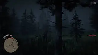 Red Dead Redemption 2_20190131235201   ghosting