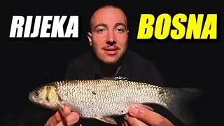 Jezivi udarci na dzigericu - misteriozni SOM ponovo došao..