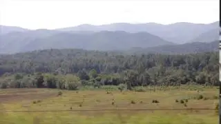 Videezy.com videos