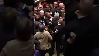 Brawl Breaks Out In Italian Parliament