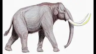 Sound Effects - Steppe Mammoth
