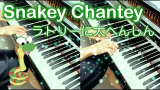 【 Donkey Kong Country 2 スーパードンキーコング2 】 Snakey Chantey ラトリーに大へんしん 【 Piano ピアノ 】
