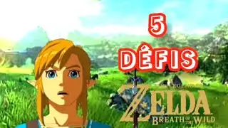 Je réalise vos défis Wtf sur Zelda breath of the wild
