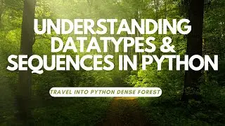 Python Fundamentals: Datatypes & Sequences Explained