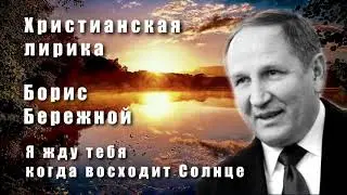 Борис Бережной. Я жду Тебя