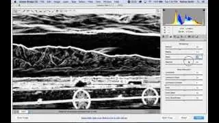Photoshop: Sharpen an image in Adobe Camera Raw