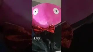 dropping kinito down the stairs ✨ #shorts #kinitopet #axolotl #funny #shortsfeed