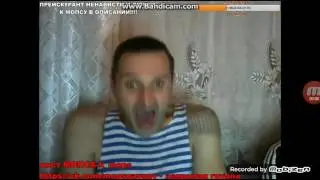 Красивая чайка от Мопса