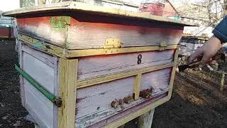 Обзор старинного улья лежака на 10 летков,Пчеловодство,Пчеловодство 2020