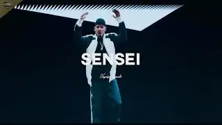 CAPITAL BRA TYPE BEAT | SENSEI (prod. by Veysigz)