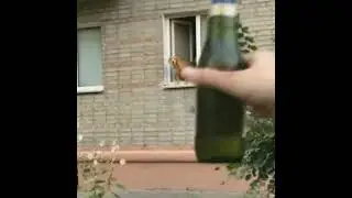 пёс не надо