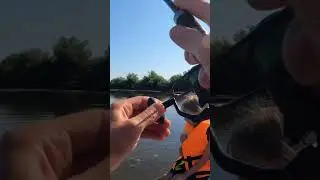 Окунь на спиннинг