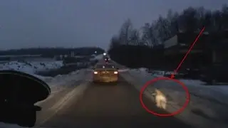 #БЕТОНКА БРОННИЦЫ СЕЛЬВАЧЁВО АЭРОПОРТ ДОМОДЕДОВО [Состояние на 28 11 2016]