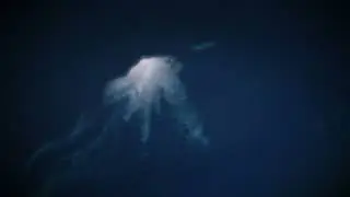 hydra - demo by mfx