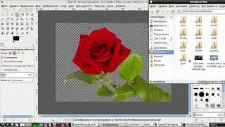Gimp tutotial. How to make a brush in Gimp: I didn't think it was so easy