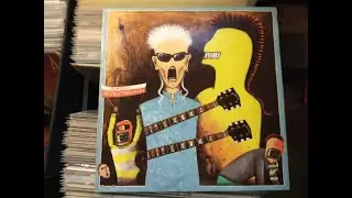 V/A - Radio Nieprzemakalnych  Vinyl  Full Album