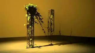 test_tree.avi