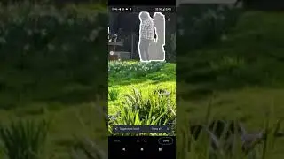 Magic Eraser on Google Pixel 6 Pro